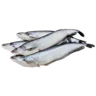 Boal Fish Deshi